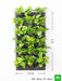 oxygen enriching indoor vertical garden 