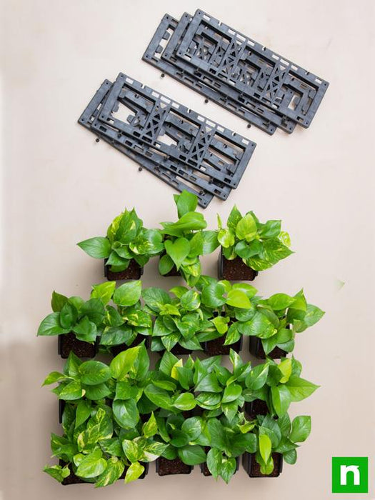 oxygen enriching indoor vertical garden 