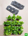 oxygen enriching indoor vertical garden 