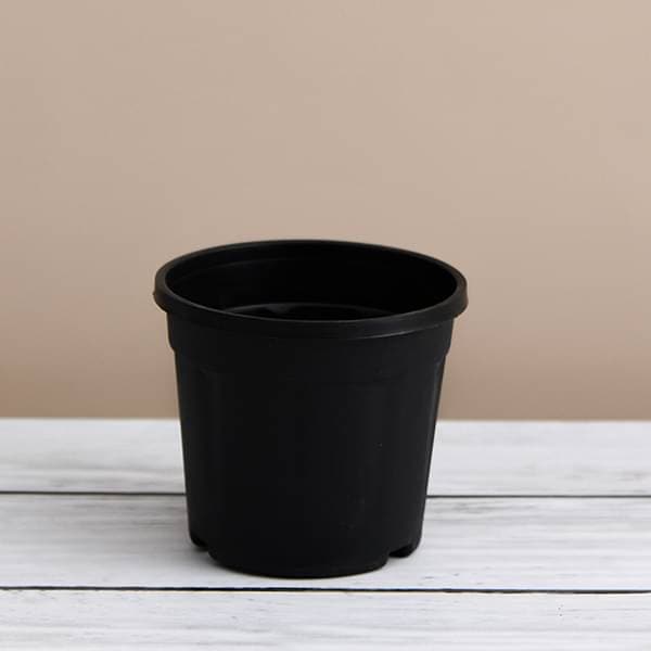 10 inch (25 cm) grower round plastic pot (black) (set of 6) 