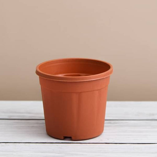 10 inch (25 cm) grower round plastic pot (terracotta color) (set of 6) 