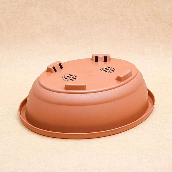 16.1 inch (41 cm) bonsai oval plastic pot (terracotta color) (set of 3) 