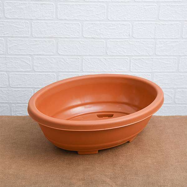 16.1 inch (41 cm) bonsai oval plastic pot (terracotta color) (set of 3) 