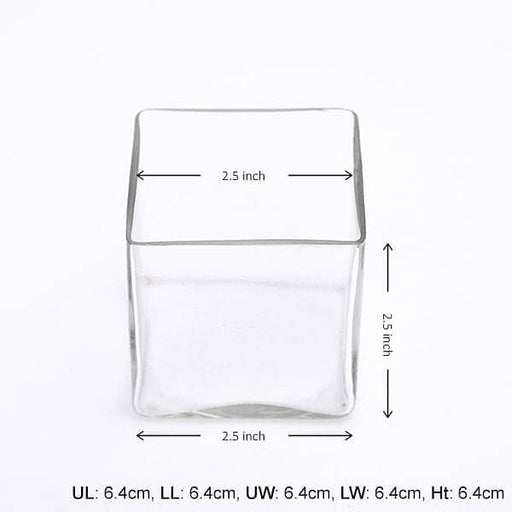 2.5 inch (6 cm) square glass vase 