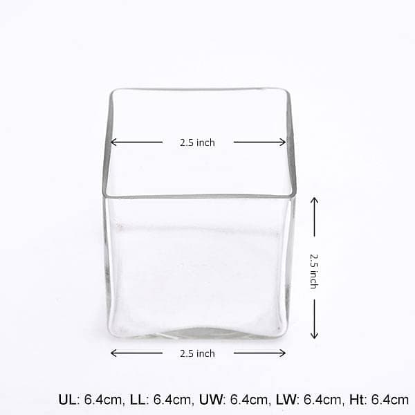 2.5 inch (6 cm) square glass vase 