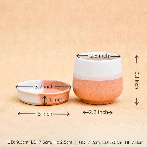 2.8 inch (7 cm) cp009 jar shape round ceramic pot with plate (white 