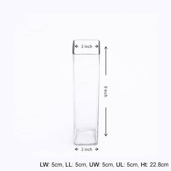 2 inch (5 cm) square glass vase (9 inch (23 cm) height) 