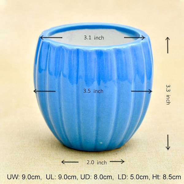 3.1 inch (8 cm) vertical ridges pattern round ceramic pot (blue) (set of 2) 