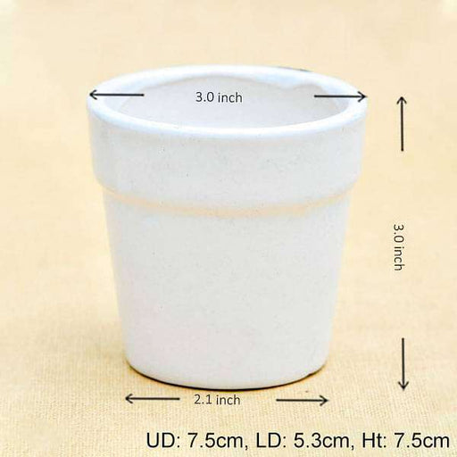 3 inch (8 cm) round ceramic pot with rim (white) (set of 3) 