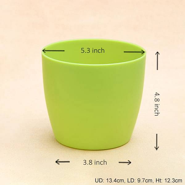 5.3 inch (13 cm) ronda no. 1412 round plastic planter (green) (set of 6) 