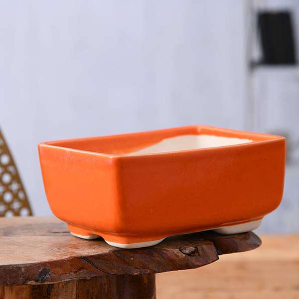 5 inch (13 cm) bonsai rectangle ceramic pot (orange) (set of 2) 