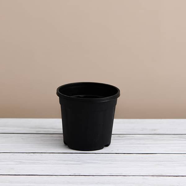 6 inch (15 cm) grower round plastic pot (black) (set of 6) 