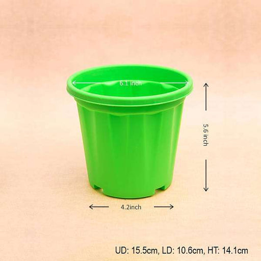 6 inch (15 cm) grower round plastic pot (green) (set of 6) 