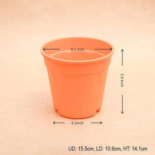 6 inch (15 cm) grower round plastic pot (orange) (set of 6) 