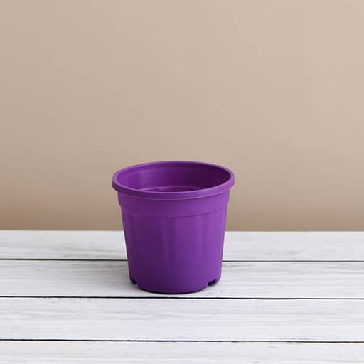 6 inch (15 cm) grower round plastic pot (violet) (set of 6) 