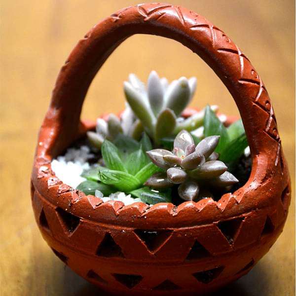 cute succulent clay basket (4.5in ht) - plant