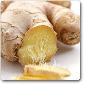 ginger - plant