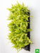 pleasing indoor vertical garden with golden fern plants 