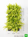 pleasing indoor vertical garden with golden fern plants 