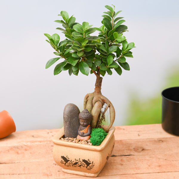 praying buddha - miniature garden