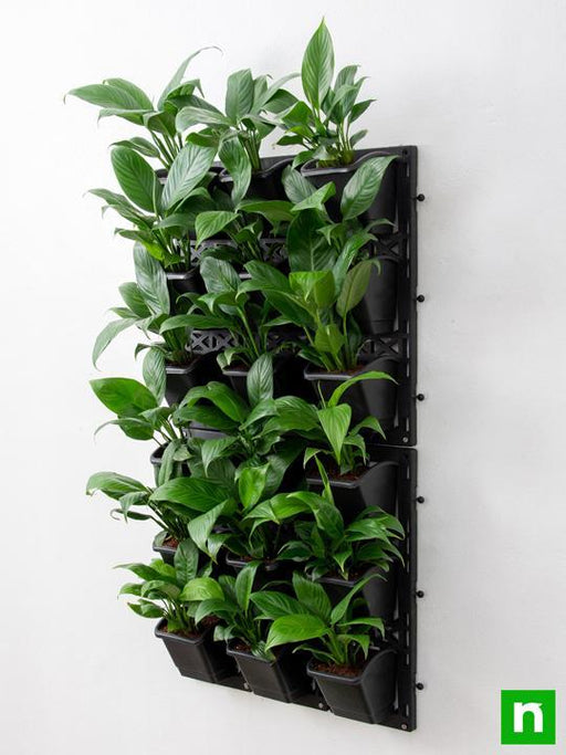 purify air around you with indoor vertical garden 