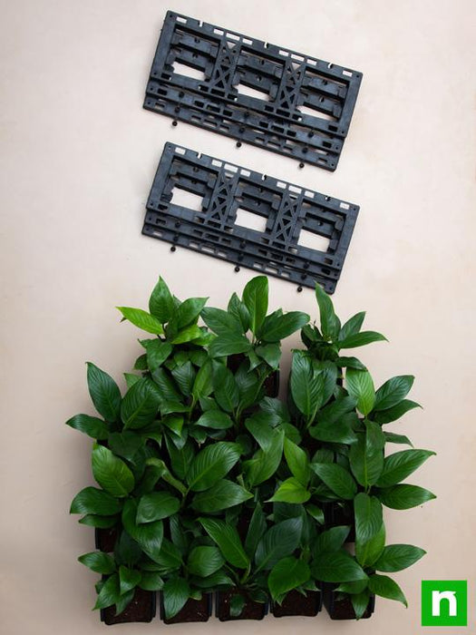 purify air around you with indoor vertical garden 