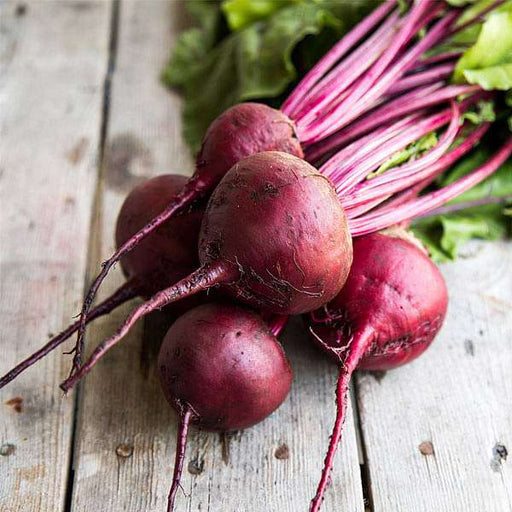 beet root dark red - desi vegetable seeds