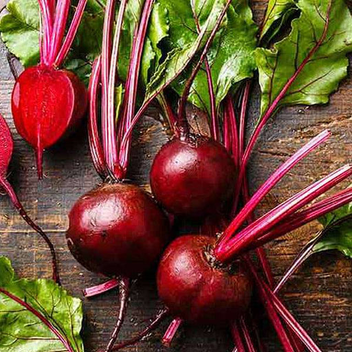 beetroot ruby queen - vegetable seeds