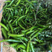 chilli g 4 - desi vegetable seeds