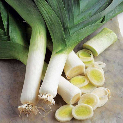 leek american flag - vegetable seeds