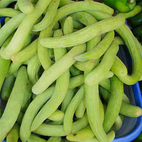 long melon - vegetable seeds