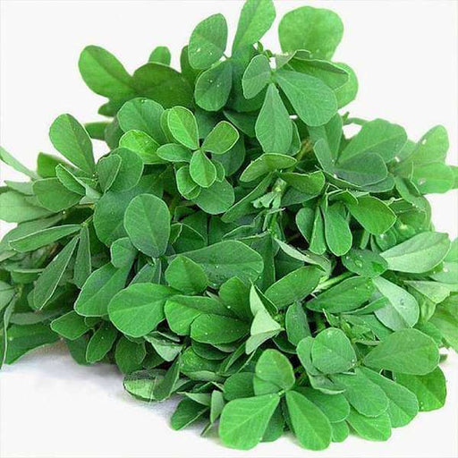 methi shalimar improved - organic vegetable seeds