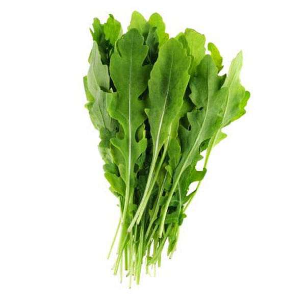 rocket arugula wild cut - herb seeds