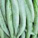 snake gourd chachinda - desi vegetable seeds