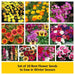 set of 10 best flower seeds to sow in winter season 