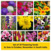 set of 10 flowering seeds to sow in october 