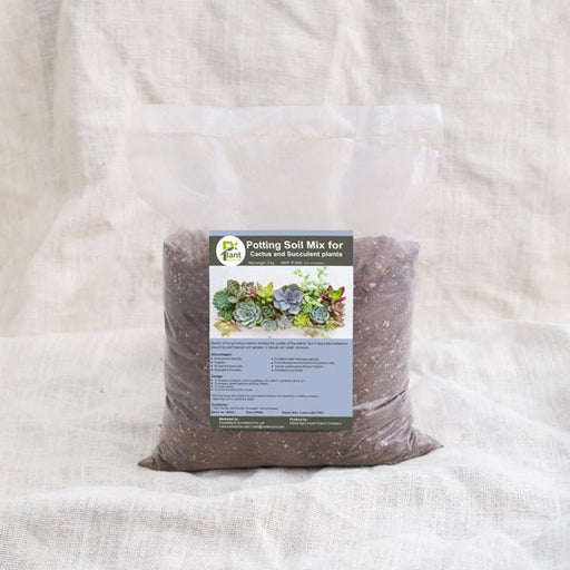 potting soil mix for cactus and succulent plants - 3 kg