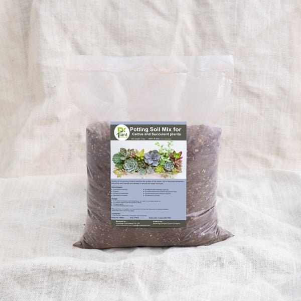 potting soil mix for cactus and succulent plants - 3 kg