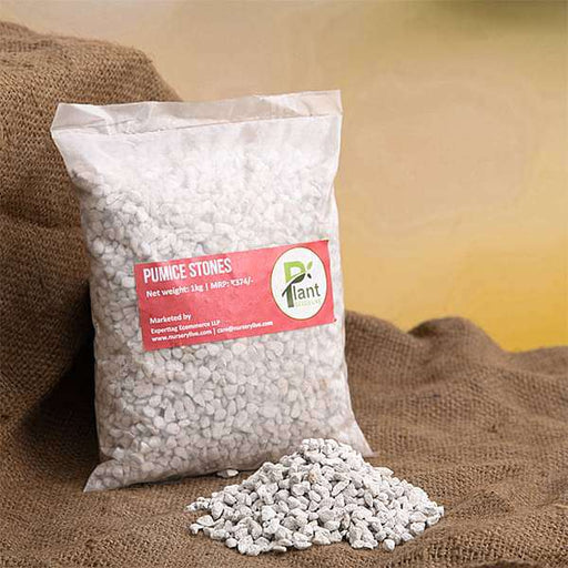 pumice stones - 1 kg