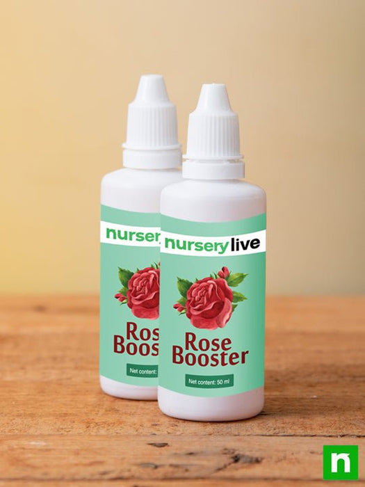 rose booster - 50 ml (set of 2)