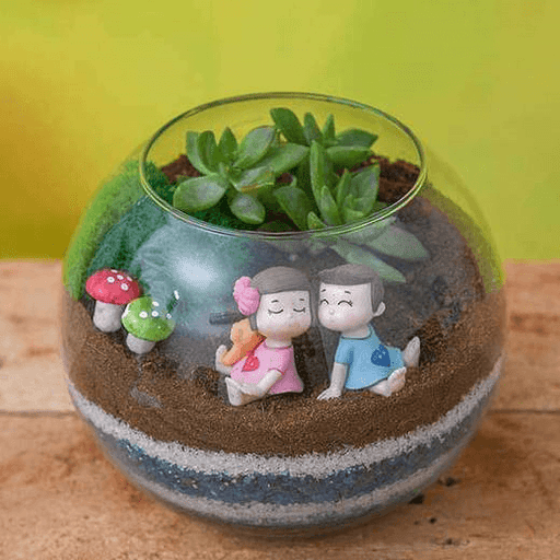 terrarium making workshop 