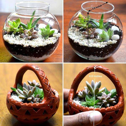 bunch of cute basket and terrarium 