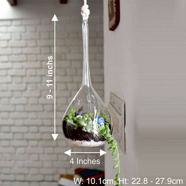 hanging orb pear terrarium (10in ht) 