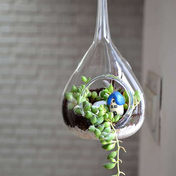 hanging orb pear terrarium (10in ht) 