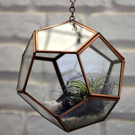 hanging pentagon terrarium (7.5in ht) 