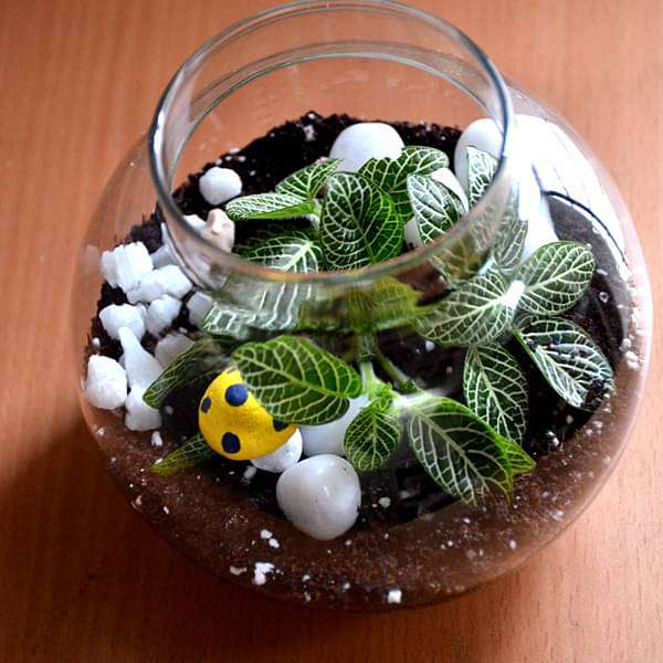 round flask green terrarium (4in ht) 