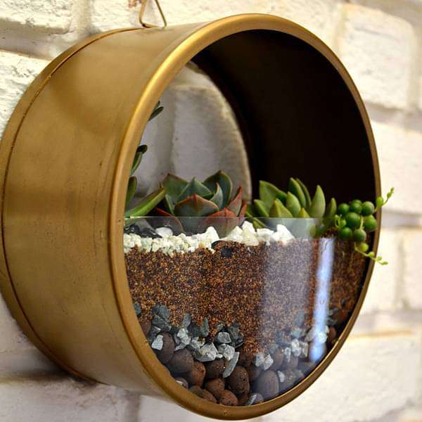 wall mounting round terrarium (8.5in ht) 