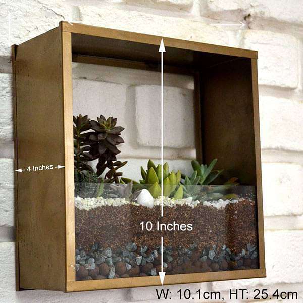 wall mounting square terrarium (10in ht) 