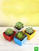 top 4 rose shaped succulent pack 