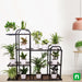 transform home space receiving indirect light with houseplants on metal stand 